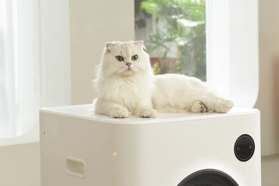 cat litter box automatic